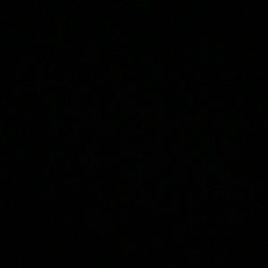 Meet your Posher, Enes